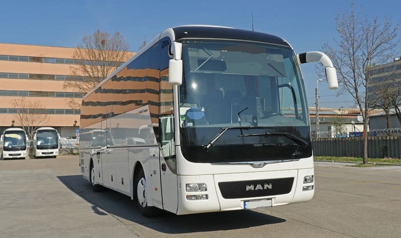Tuscany: Buses operator in Pisa in Pisa and Italy