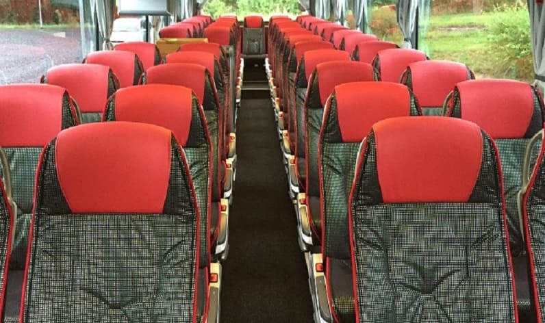 Italy: Coaches rent in Piedmont in Piedmont and Cuneo